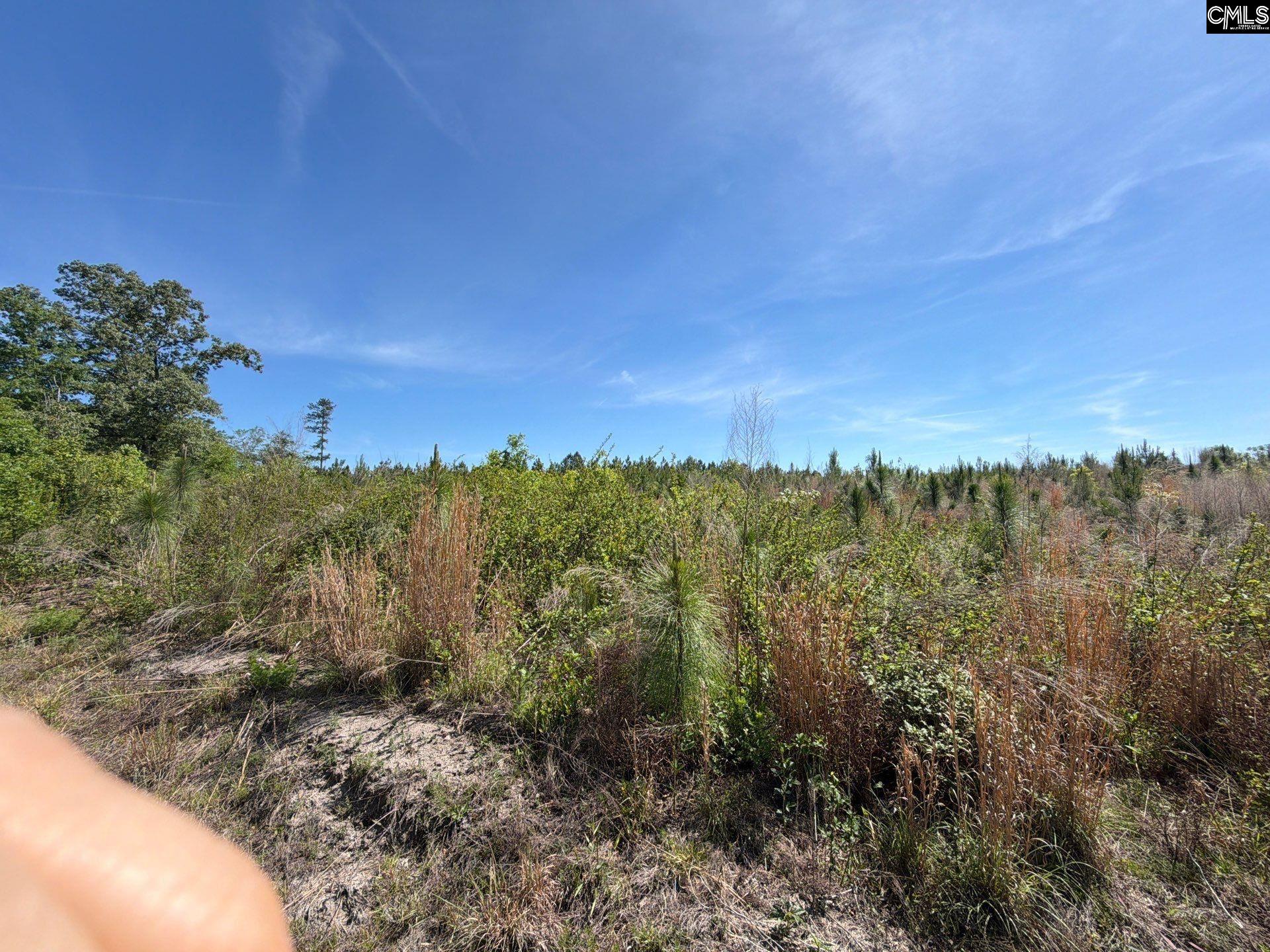 1 Holstein Road Monetta, SC 29105 - Photo 17 of 36