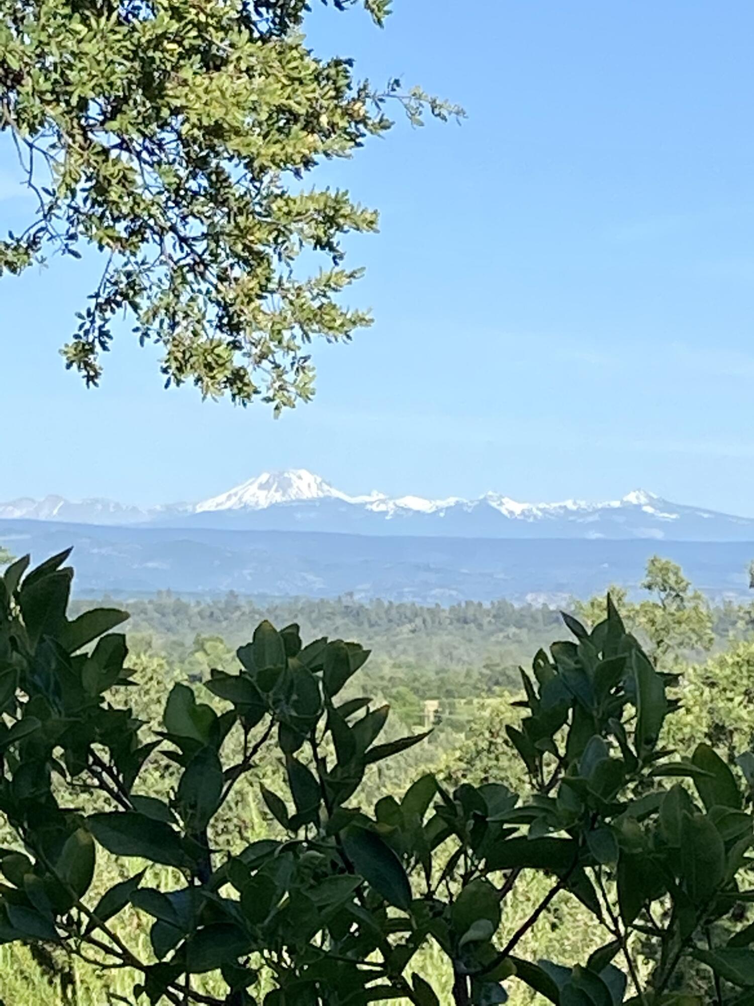 21750 Robledo Road Palo Cedro, CA 96073 - Photo 45 of 74 Views!