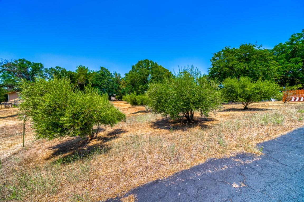21750 Robledo Road Palo Cedro, CA 96073 - Photo 54 of 74 IMG-45