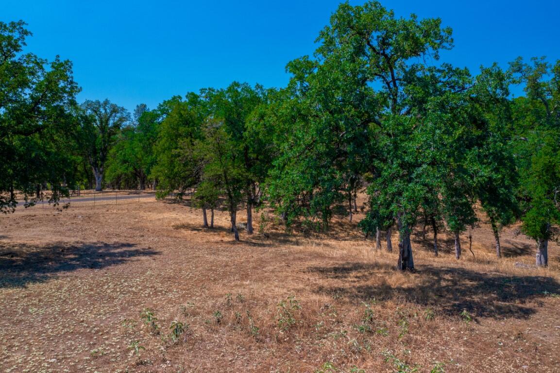 21750 Robledo Road Palo Cedro, CA 96073 - Photo 72 of 74 IMG-66