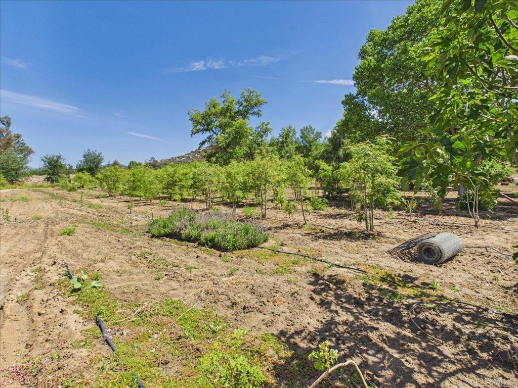 385 Feghali Road Ramona, CA 92065 - Photo 6 of 19