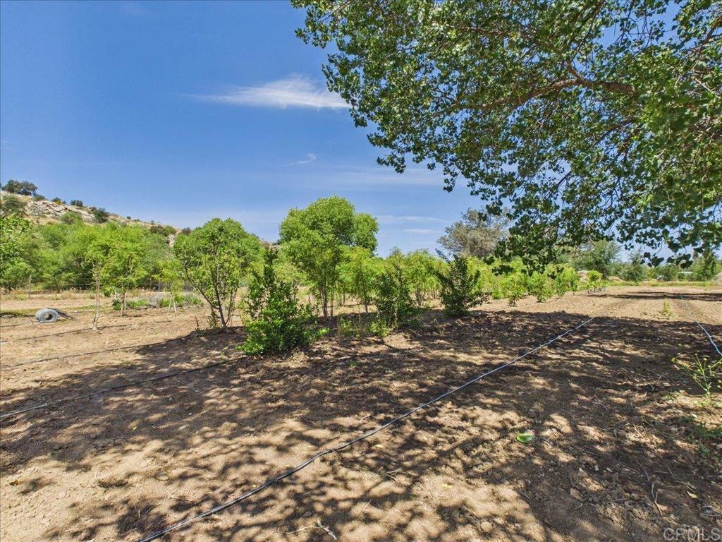 385 Feghali Road Ramona, CA 92065 - Photo 7 of 19