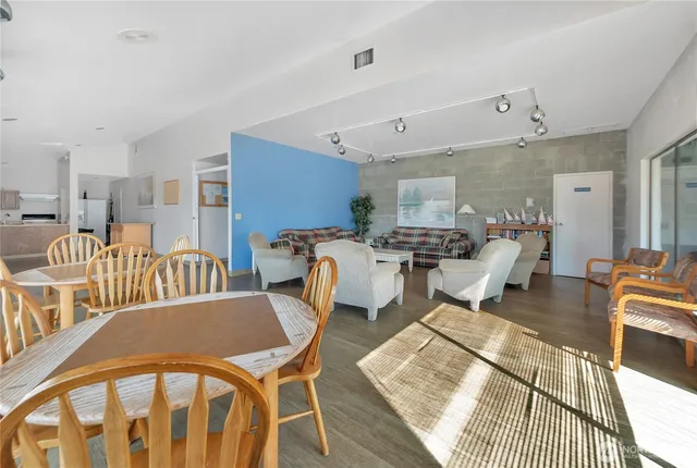 a view of a garden with lawn chairs and potted plants