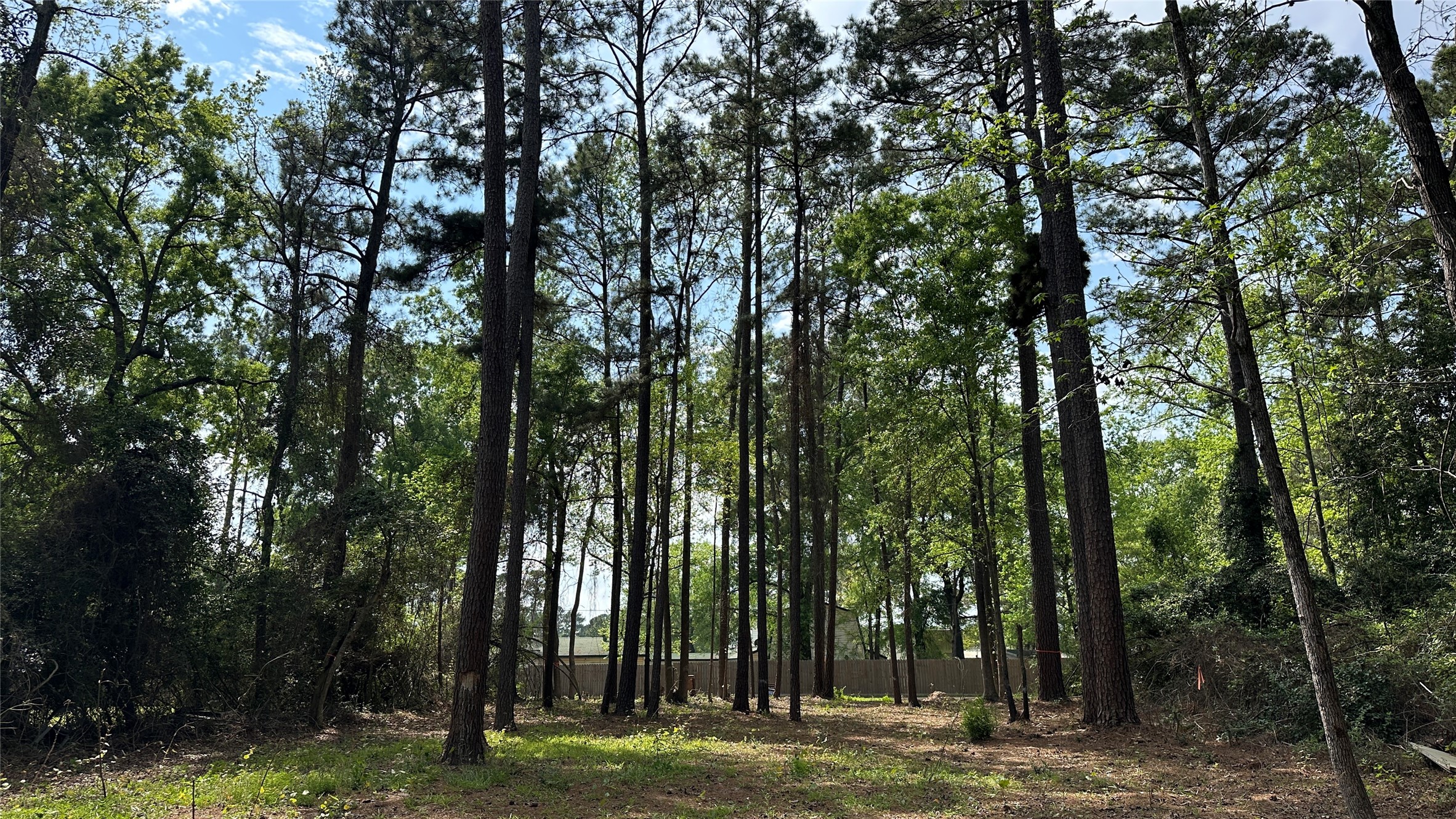 775 Huckleberry Road Onalaska, TX 77360 - Photo 4 of 7 view from the back of the property looking to the street