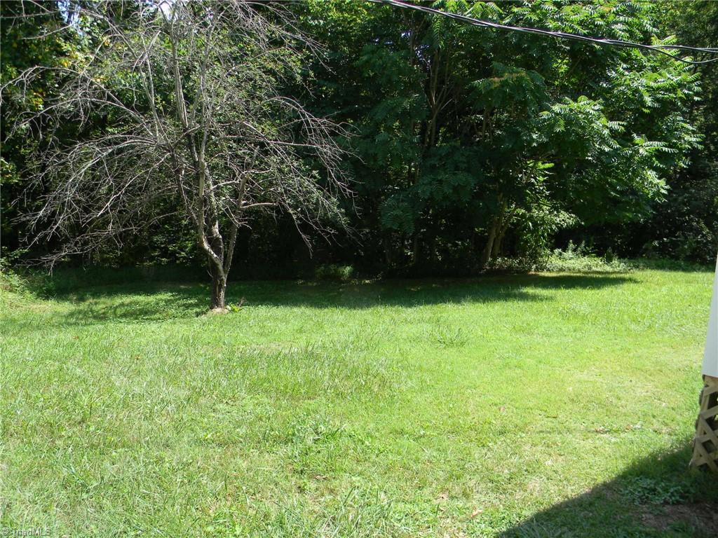 2985 Ayersville Road Mayodan, NC 27027 - Photo 23 of 30 Back Yard