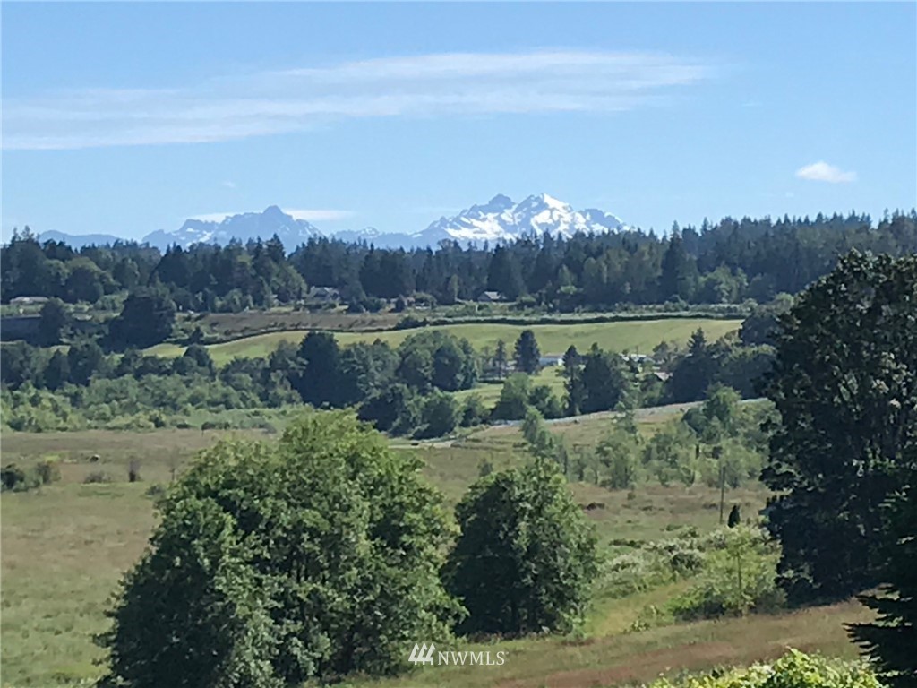 6815 Skipley Road Snohomish, WA 98290 - Photo 29 of 36 a view of a lake with a mountain in the background