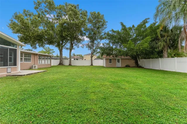 a view of a park with large trees