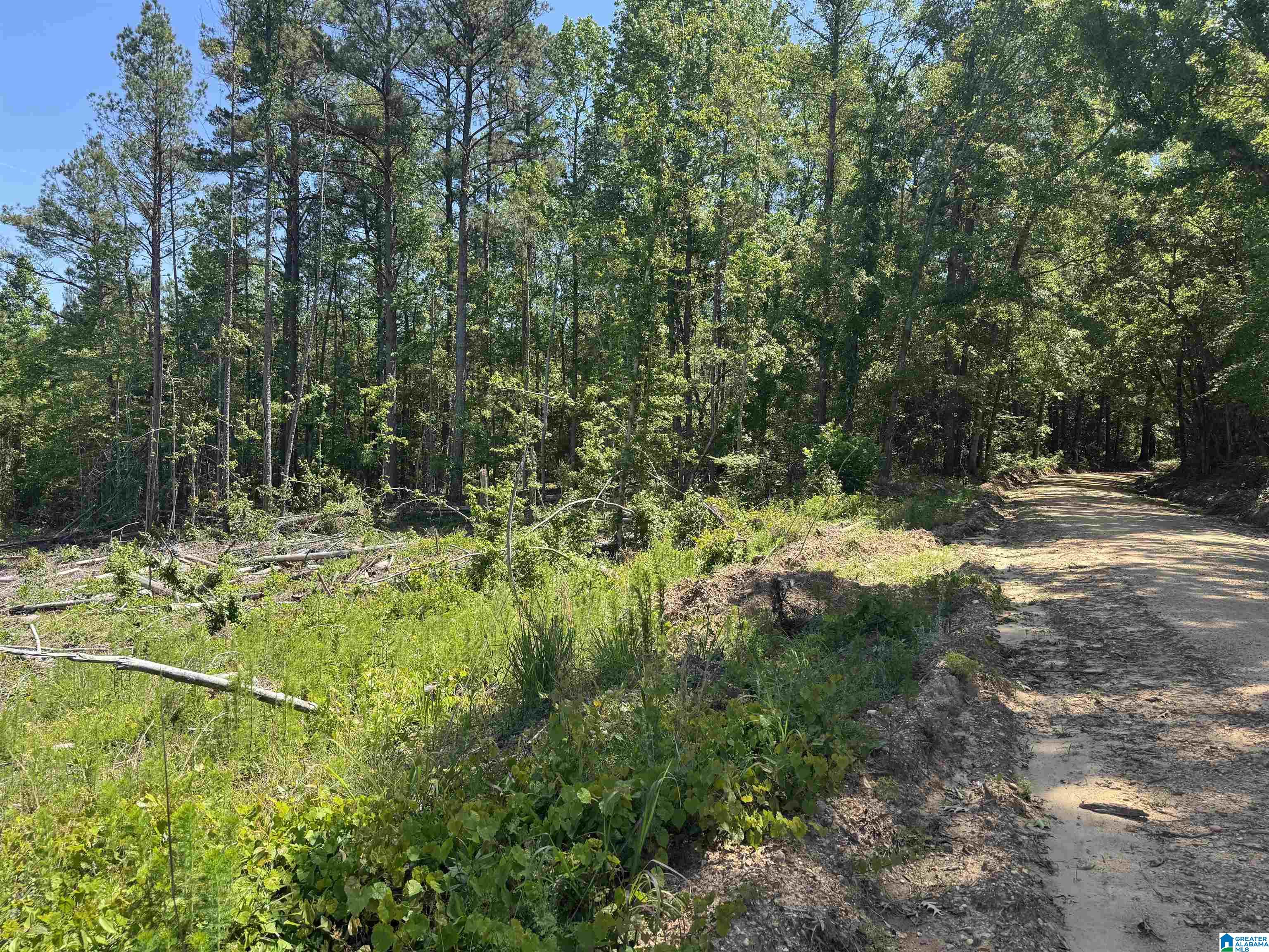 Active Road, Unit 4 Lawley, AL 36793 - Photo 7 of 12