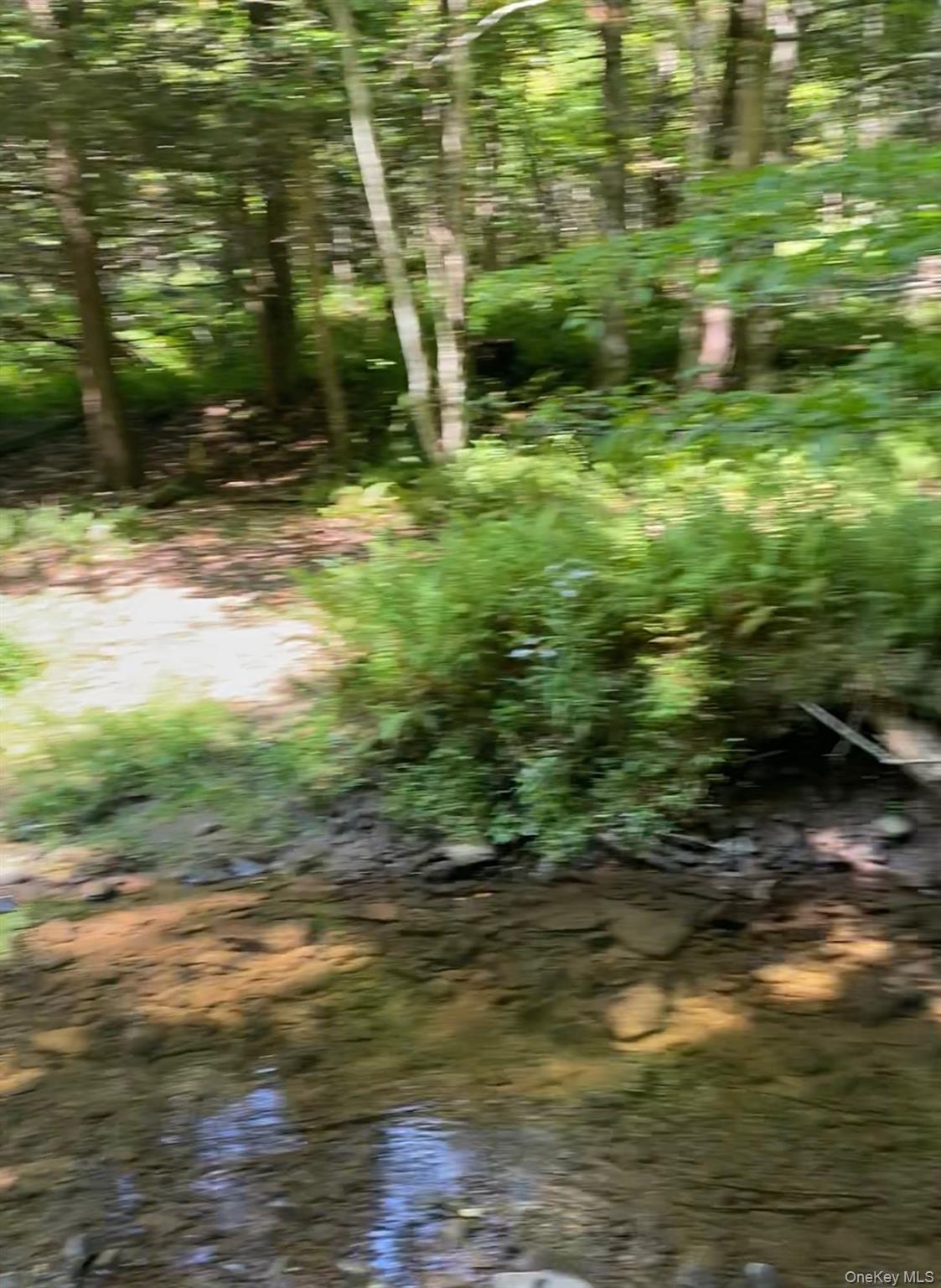 Hessinger Lare Road Livingston Manor, NY 12791 - Photo 11 of 18 a view of a lake view