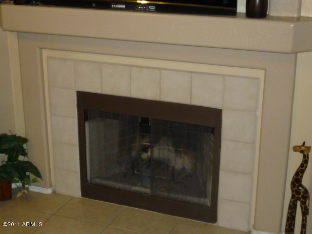 1437 East Mineral Road Gilbert, AZ 85234 - Photo 14 of 36 fireplace