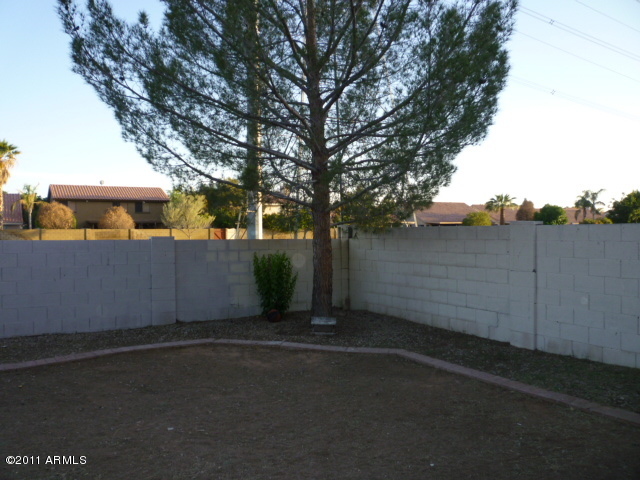 1437 East Mineral Road Gilbert, AZ 85234 - Photo 15 of 36 backyard
