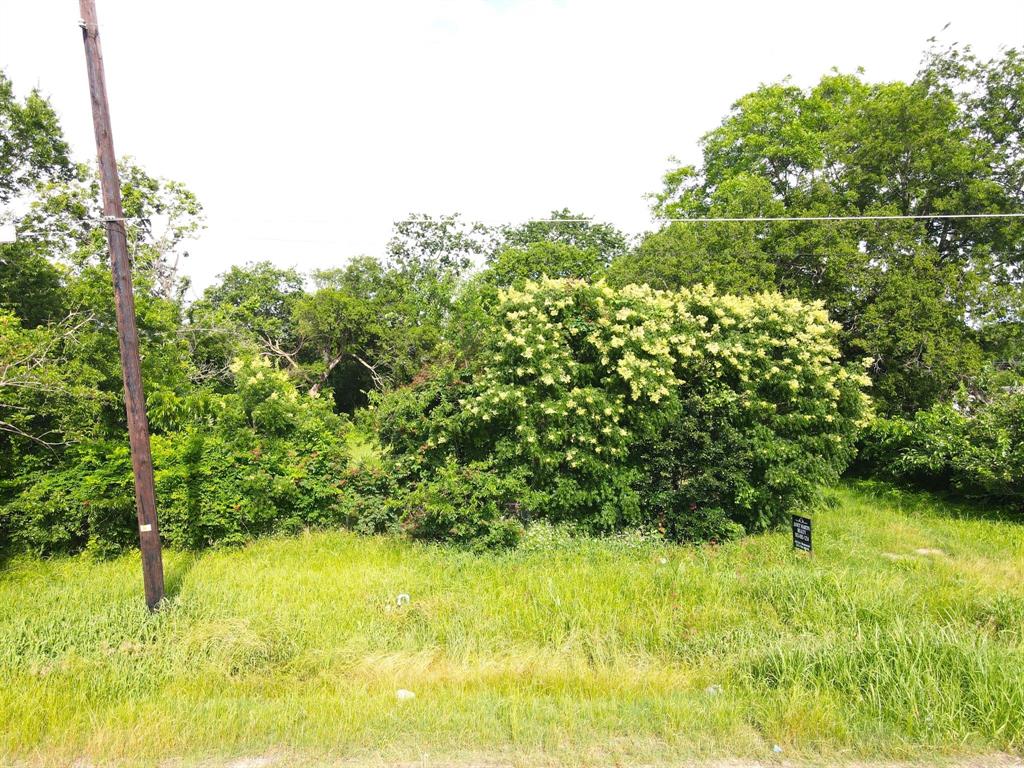 0 South Frances Street Terrell, TX 75160 - Photo 3 of 10 a view of a garden