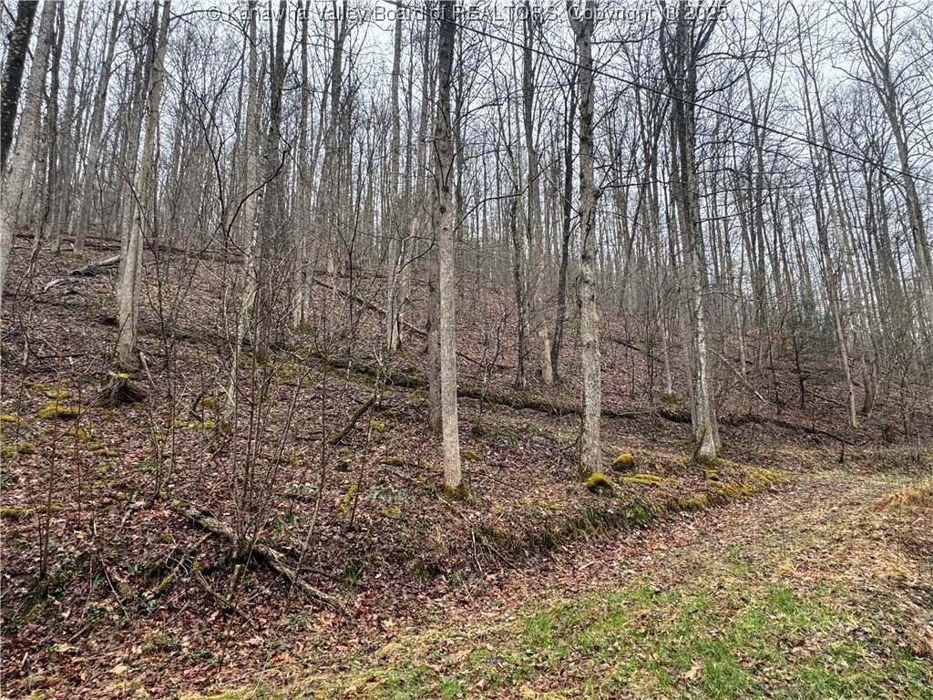 0 Groves-Wattsville Road Ivydale, WV 25113 - Photo 17 of 29 Gallery Image 17