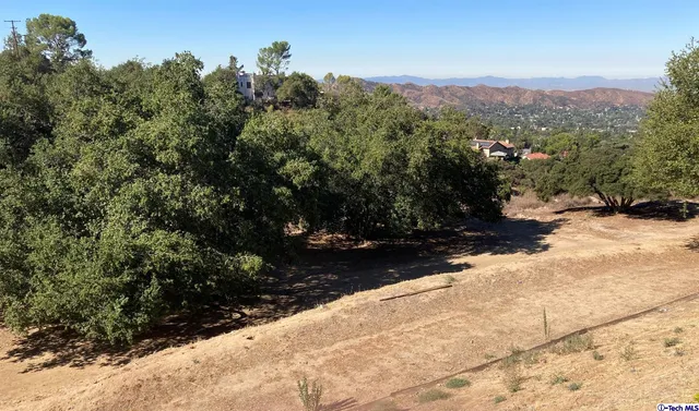 a view of a backyard of a house