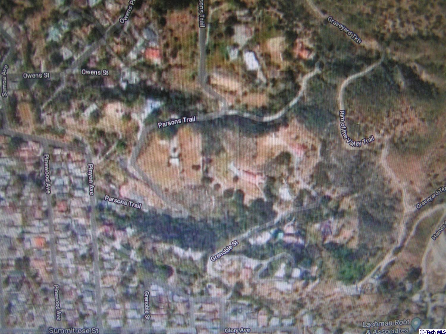 6835 Grenoble Street Tujunga, CA 91042 - Photo 13 of 13 a picture of tree