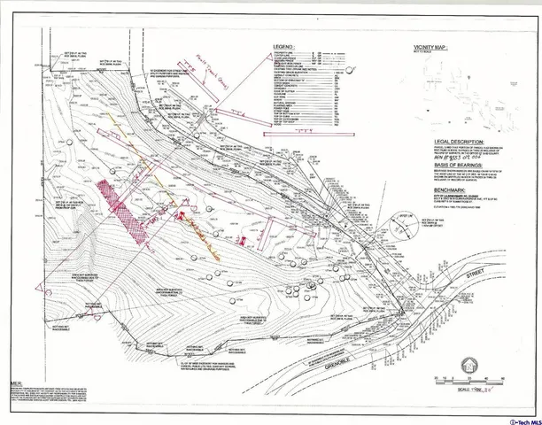 a street view with large trees