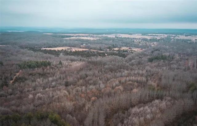 $302,400 | 389 Butler Pond Road, Bourbon, MO 65441