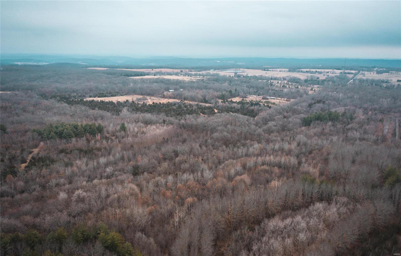 389 Butler Pond Road Bourbon, MO 65441 - Photo 6 of 12