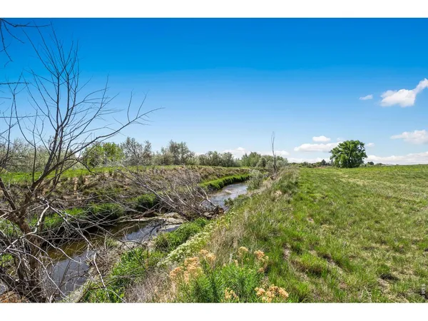 a view of a lake with a yard