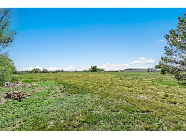 a view of a yard with a tree