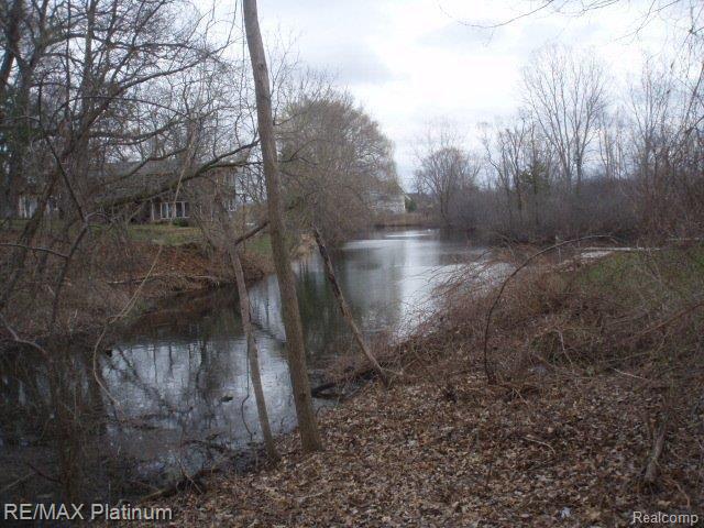 Vl Benstein Road Commerce Township, MI 48382 - Photo 1 of 14 P4160008