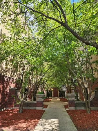 a tree in the middle of a yard