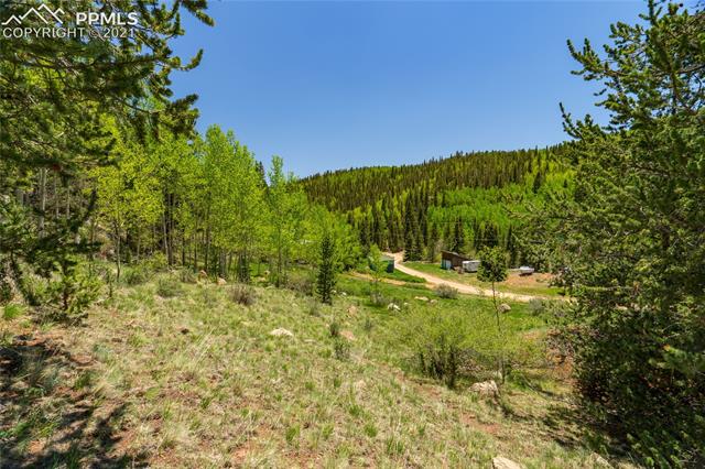 0 Beaver Valley Road Victor, CO 80860 - Photo 20 of 38 Gallery Image 20