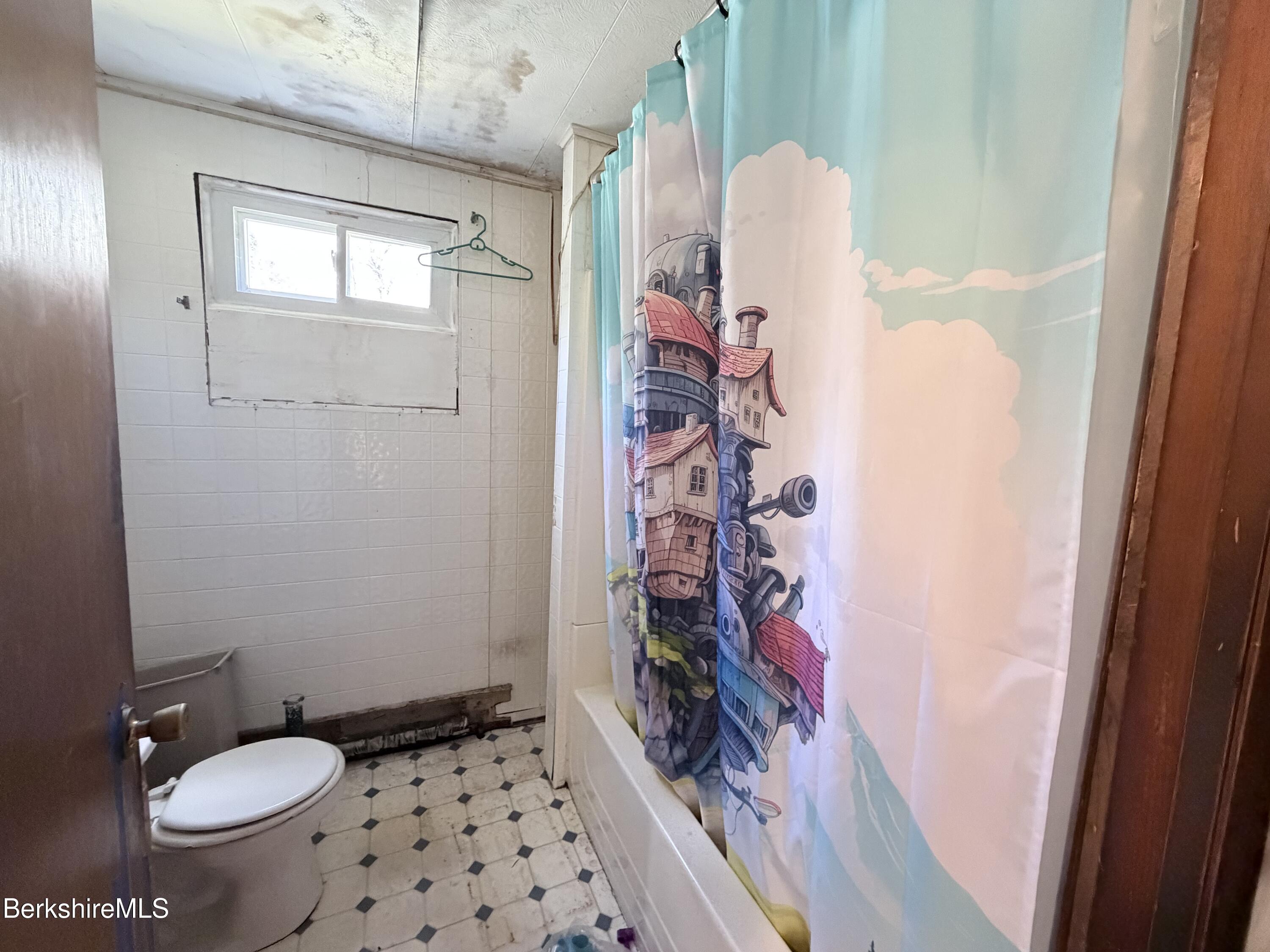 1155 Main Road Savoy, MA 01256 - Photo 18 of 22 Bathroom