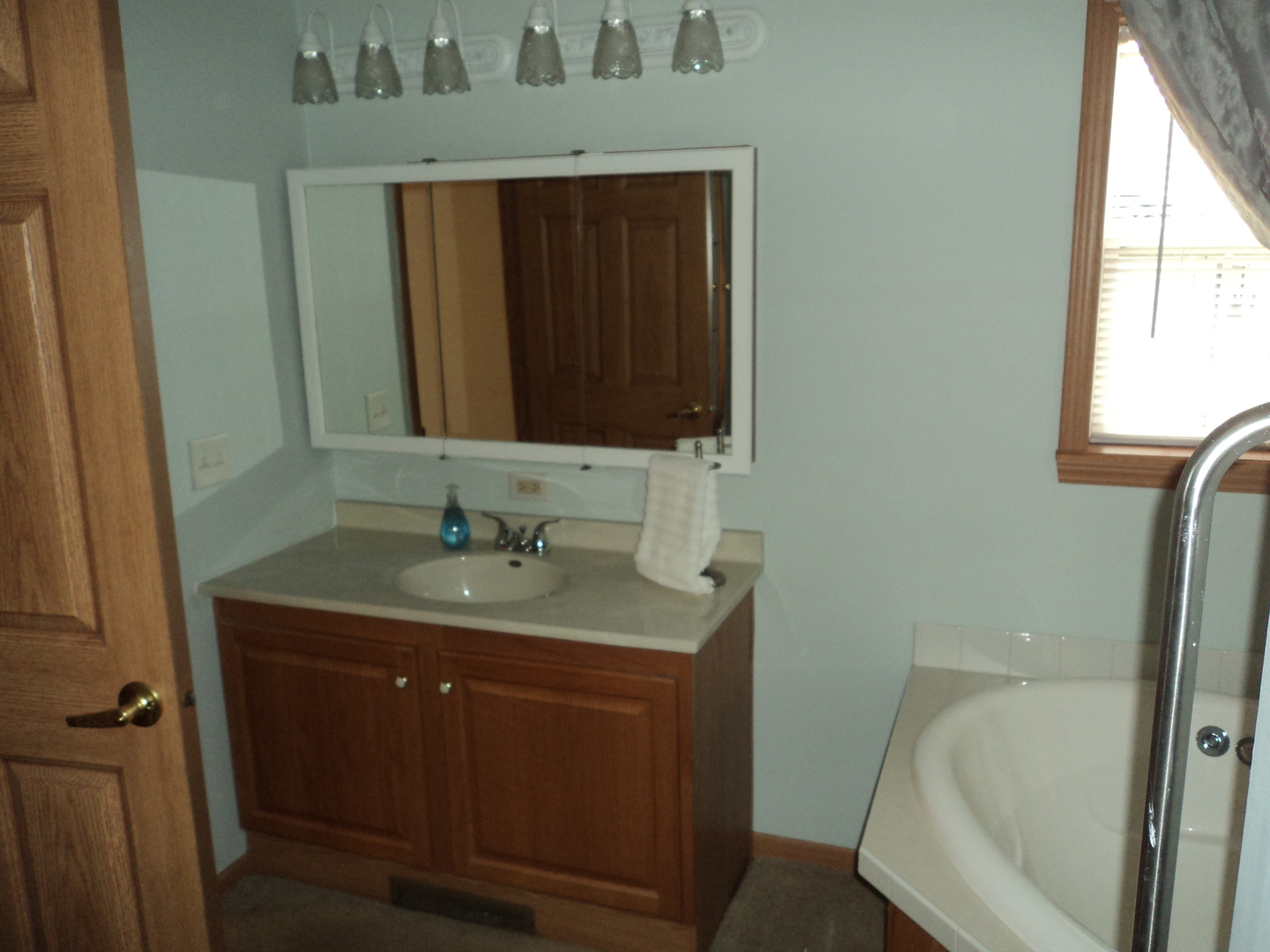 22912 Pinehurst Drive Frankfort, IL 60423 - Photo 18 of 21 a bathroom with a sink a toilet and mirror