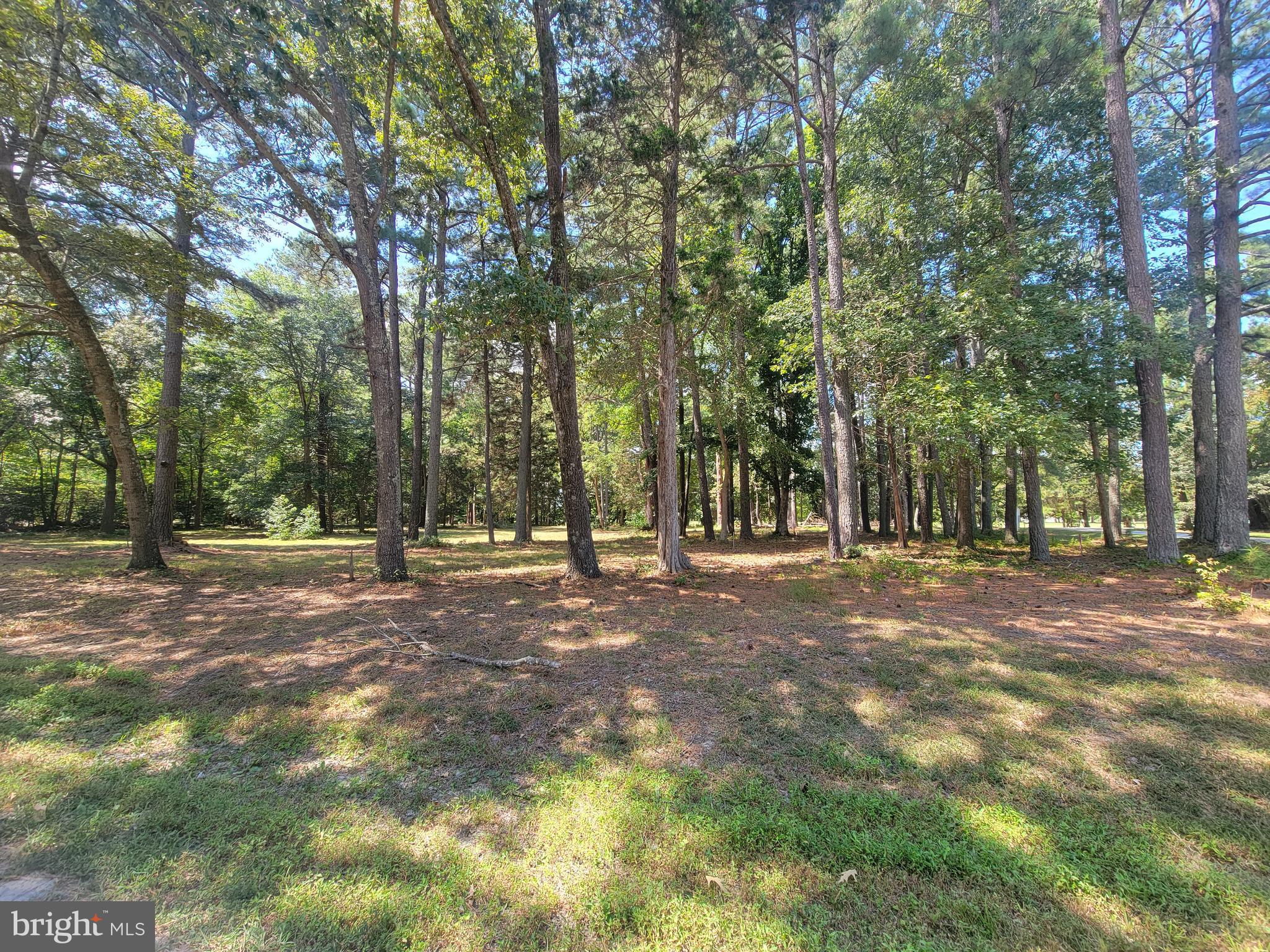 0 Point Anne Drive Hartfield, VA 23071 - Photo 2 of 4 a view of outdoor space with trees