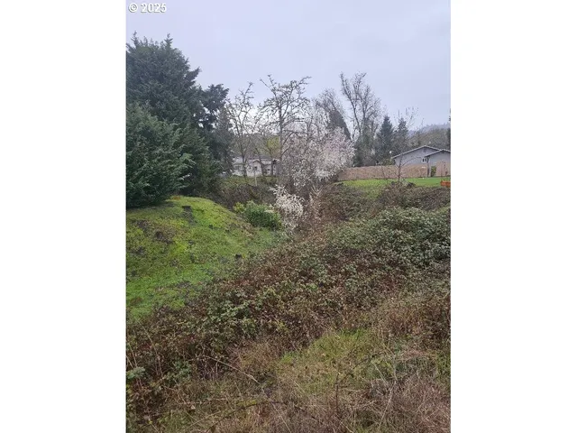 a view of a yard with trees in front of the house