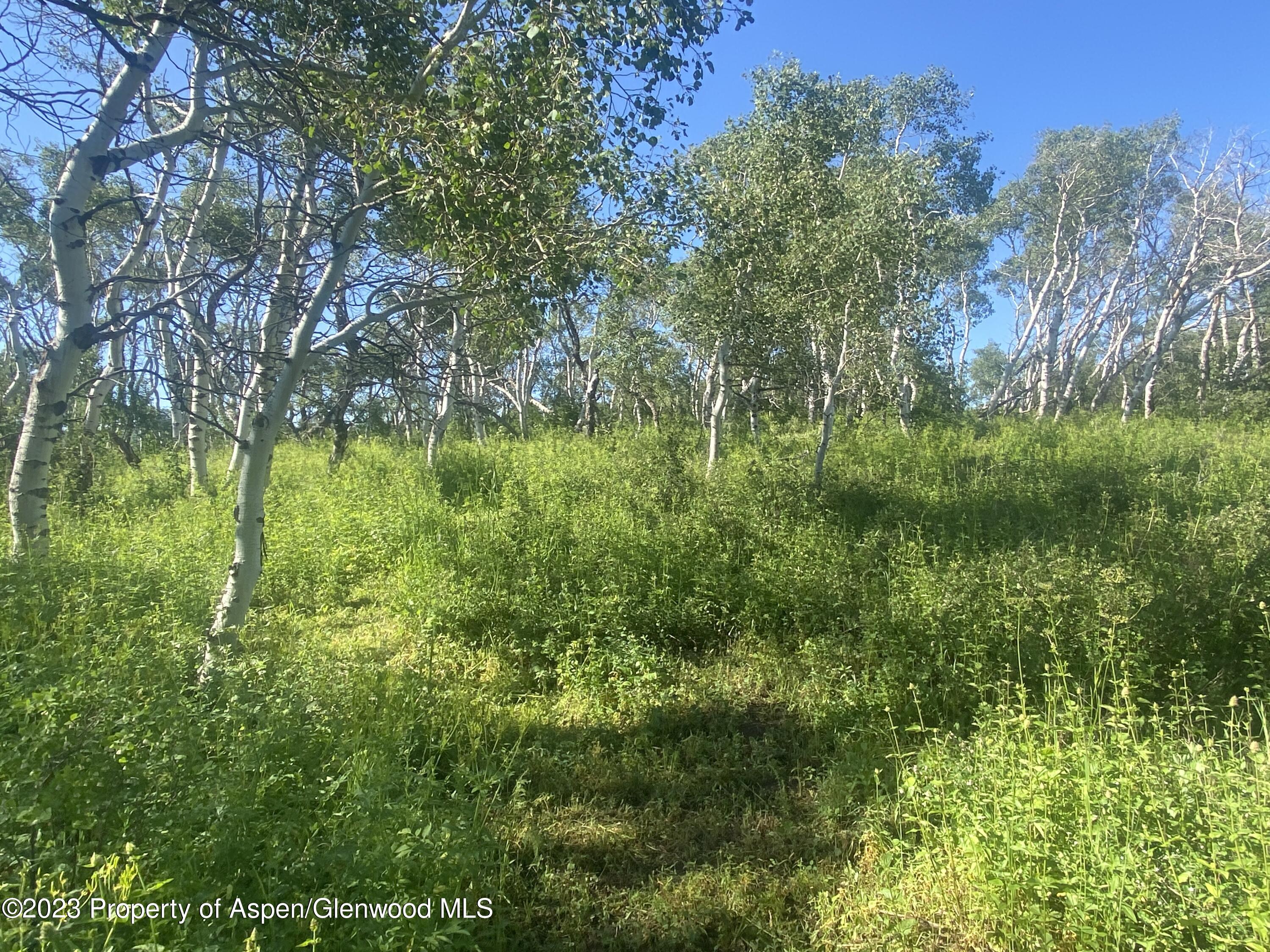 390 Sycamore Road Craig, CO 81625 - Photo 20 of 30 bb_ (9)