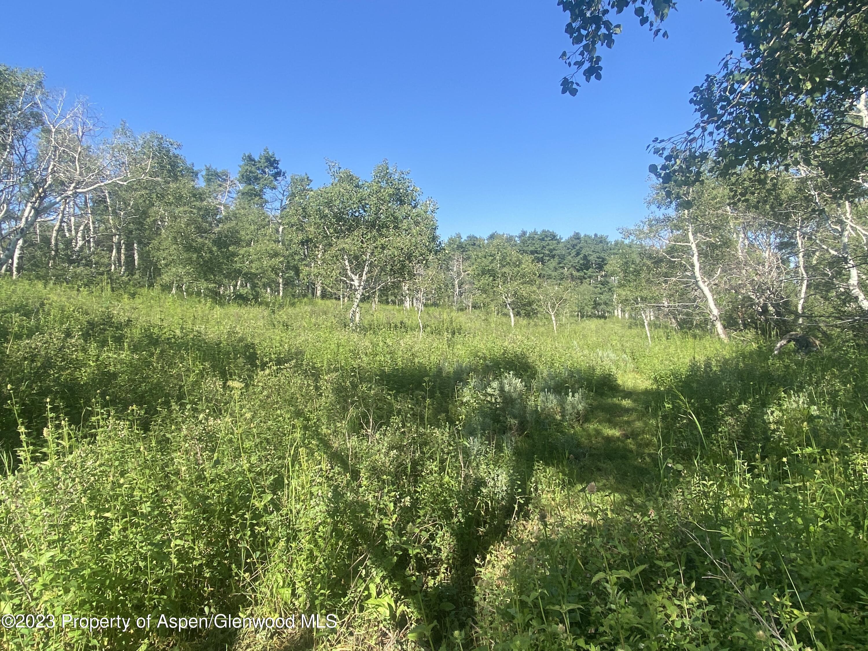 390 Sycamore Road Craig, CO 81625 - Photo 21 of 30 bb_ (8)