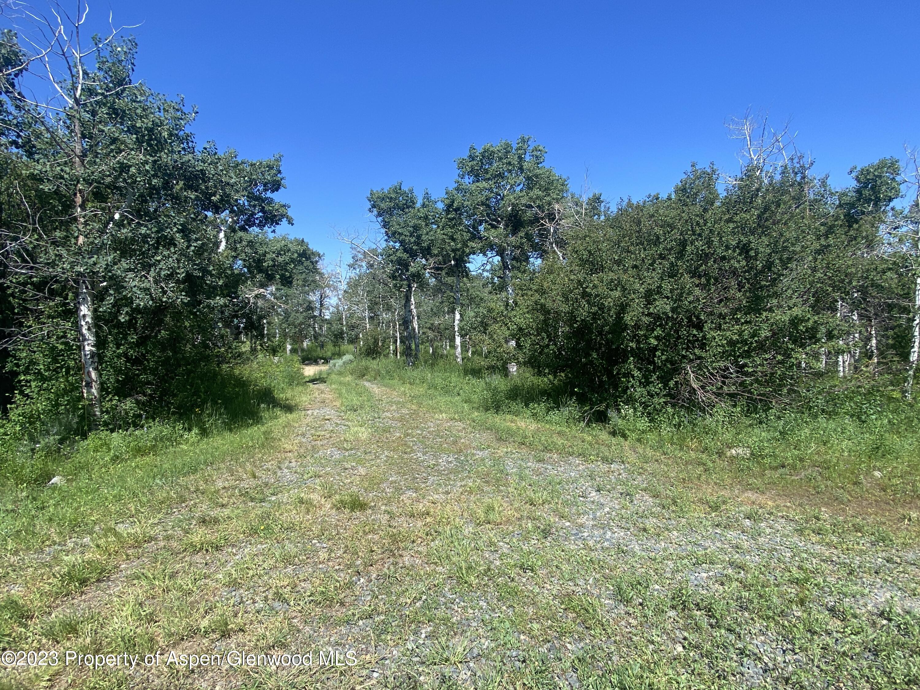 390 Sycamore Road Craig, CO 81625 - Photo 22 of 30 bb_ (3)