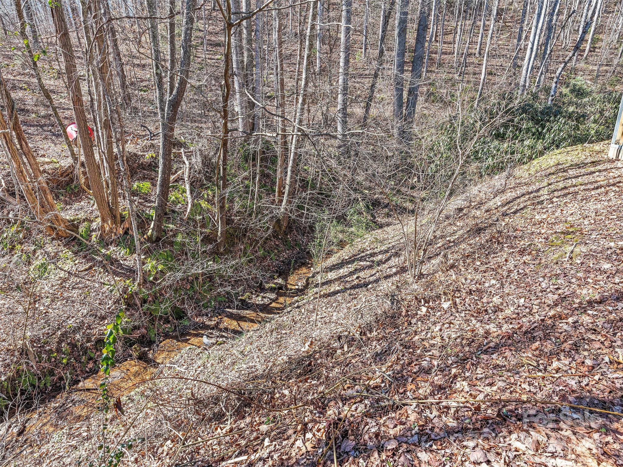 195 Hughes Road Waynesville, NC 28786 - Photo 5 of 23 Gallery Image 5
