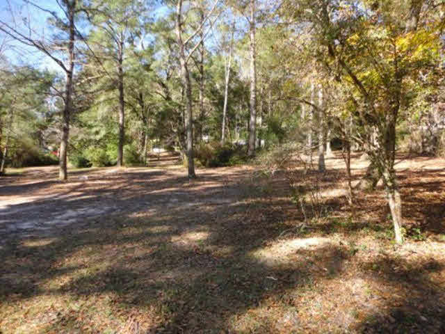 856 Sea Cliff Drive Fairhope, AL 36532 - Photo 4 of 14 Middle of Lot