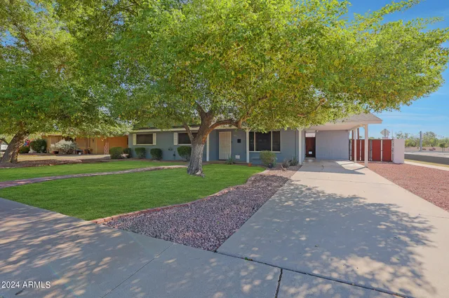 a view of a house with a yard and large tree