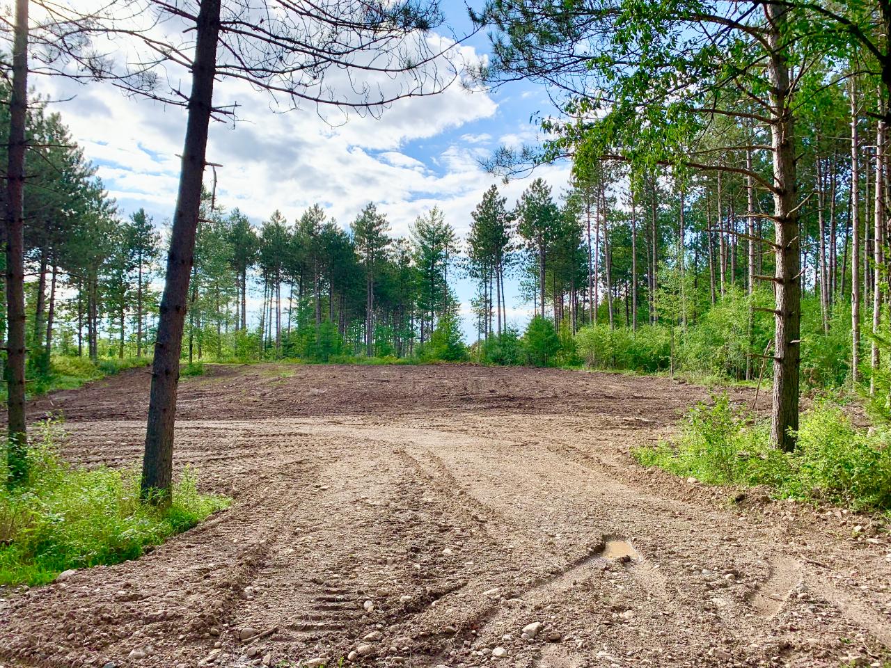 4-acres Sunset Road Elcho, WI 54428 - Photo 1 of 16 Gallery Image 1