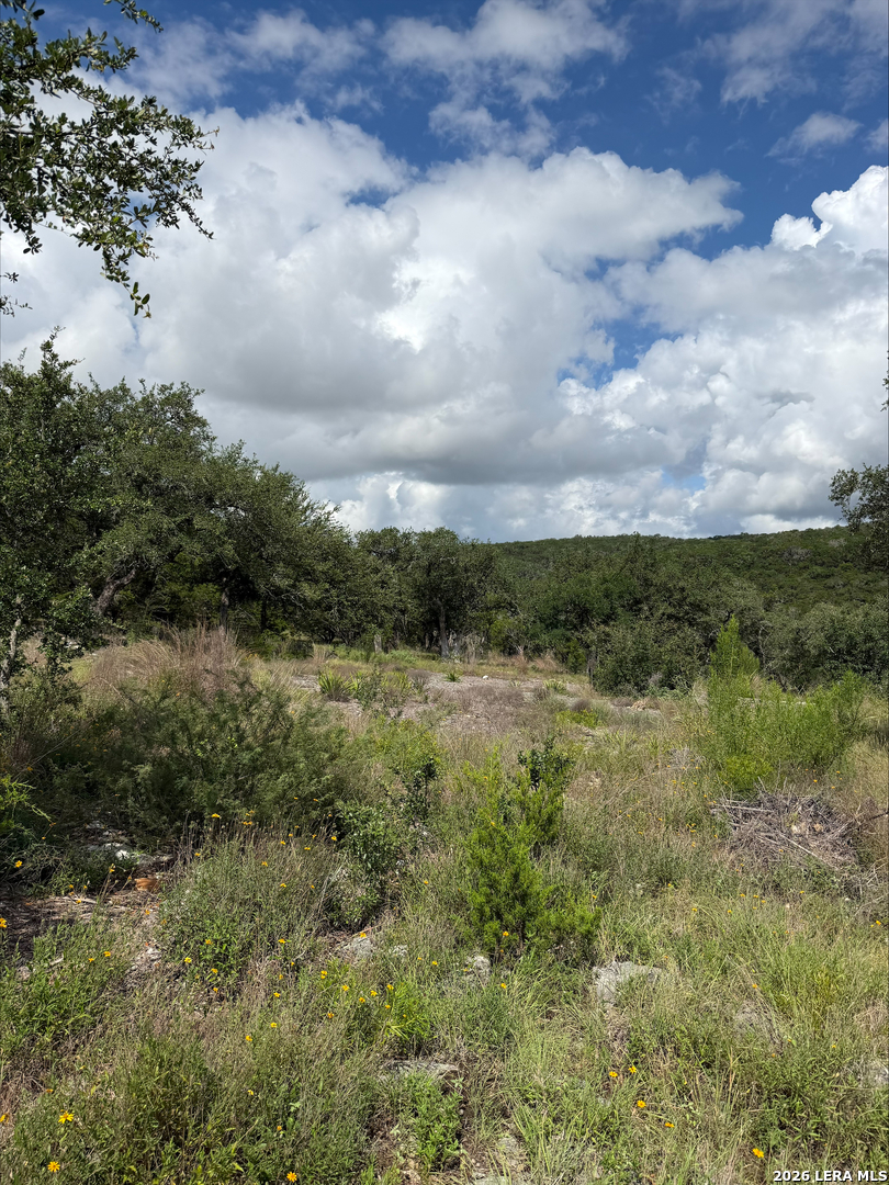 1417 Powder Ridge New Braunfels, TX 78132 - Photo 15 of 17