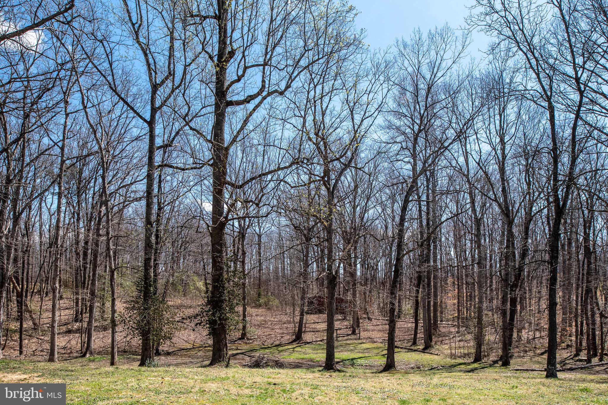 81 Clark Patton Road Fredericksburg, VA 22406 - Photo 48 of 60 Gallery Image 48