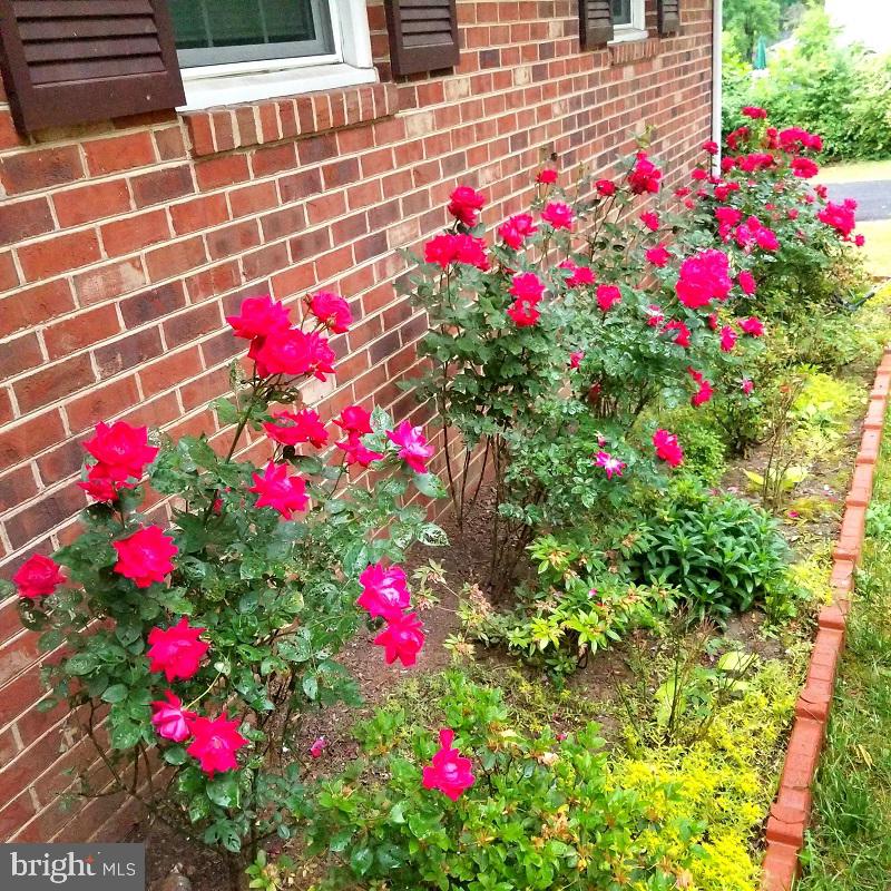 81 Clark Patton Road Fredericksburg, VA 22406 - Photo 58 of 60 Gallery Image 58