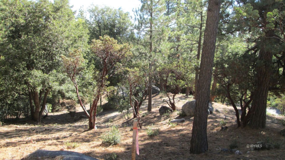 Northridge Idyllwild, CA 92549 - Photo 2 of 3 a view of a yard with plants and trees
