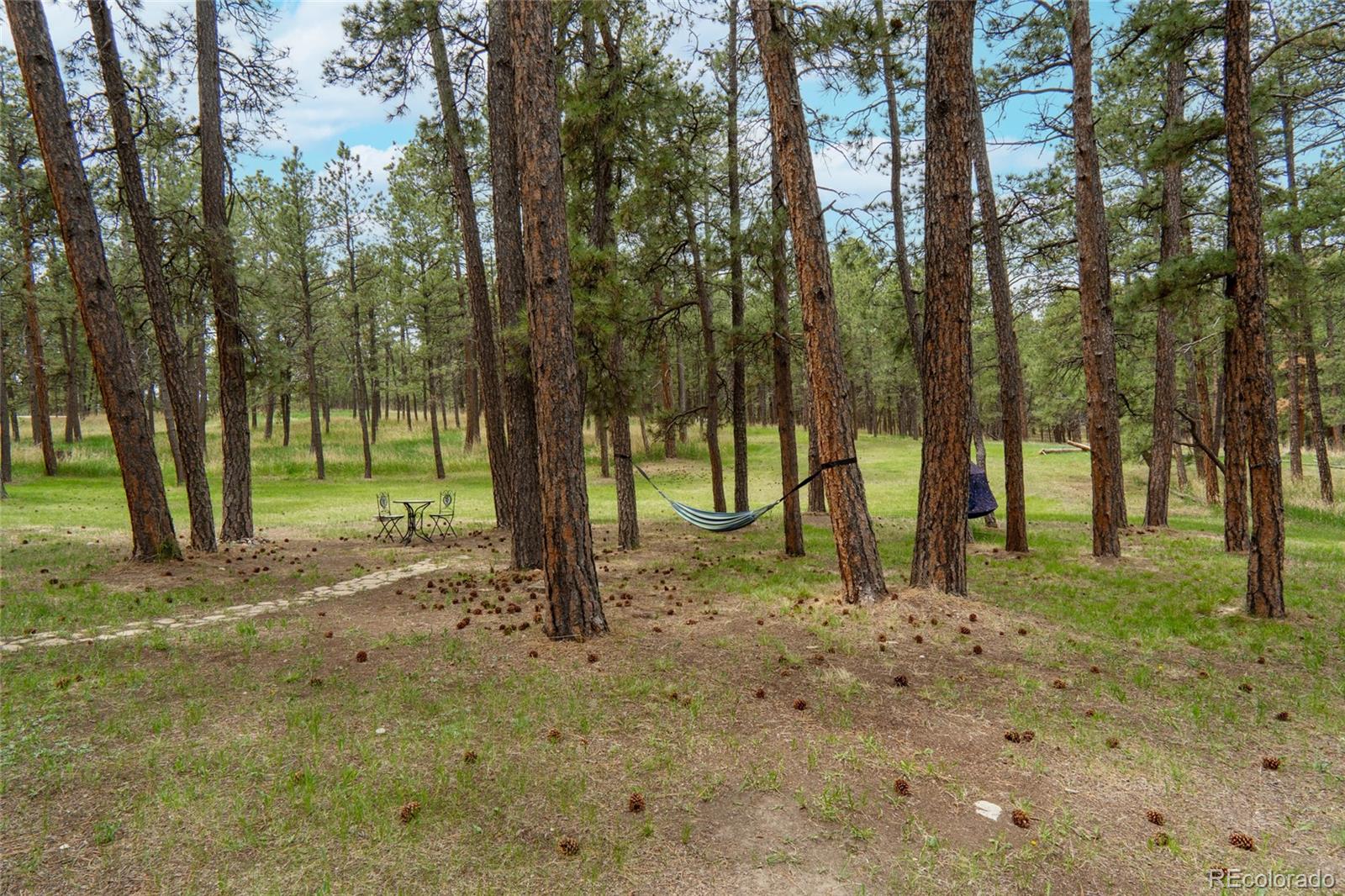 4719 Beaver-Ridge Elbert, CO 80106 - Photo 36 of 48