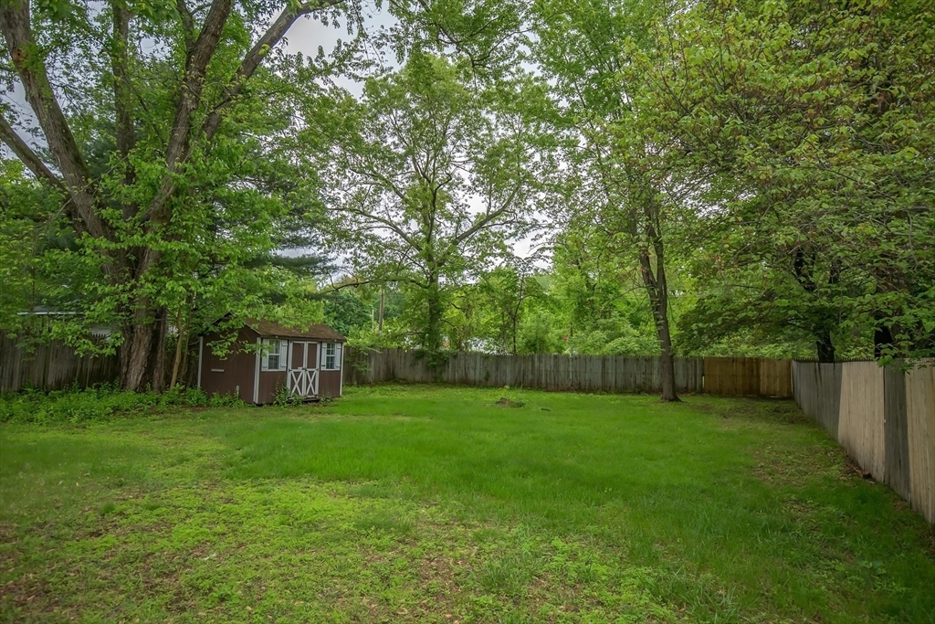 1101 Allen Street Springfield, MA 01118 - Photo 26 of 29 a view of a backyard with a house and large trees