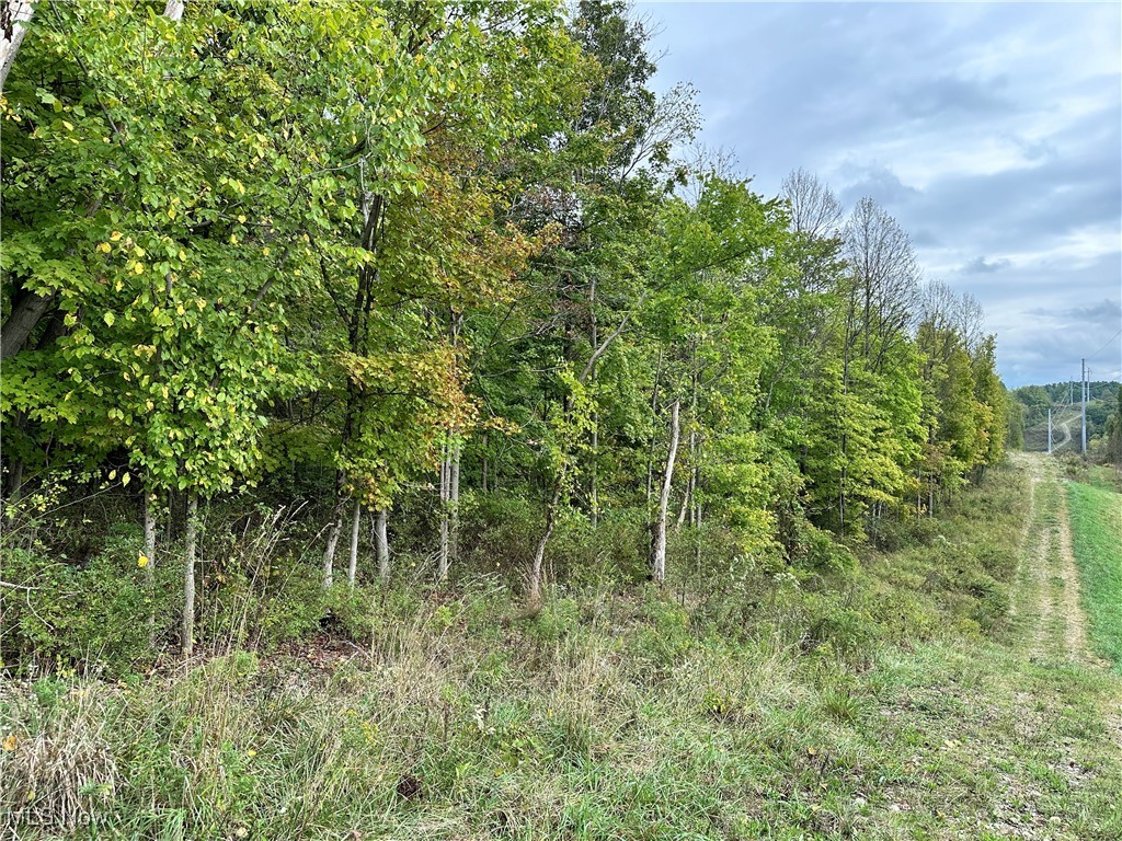 3275 Highland Ridge Road Lowell, OH 45744 - Photo 6 of 10 View of undeveloped land