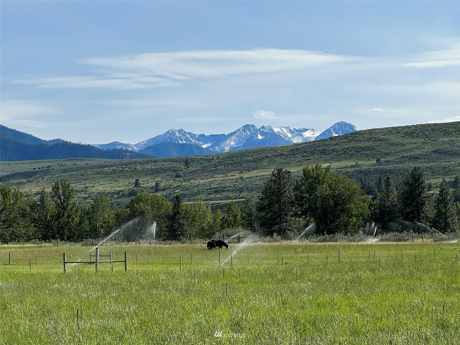 425 Twisp-Winthrop Eastside Road Twisp, WA 98856 - Photo 1 of 30 Gallery Image 1