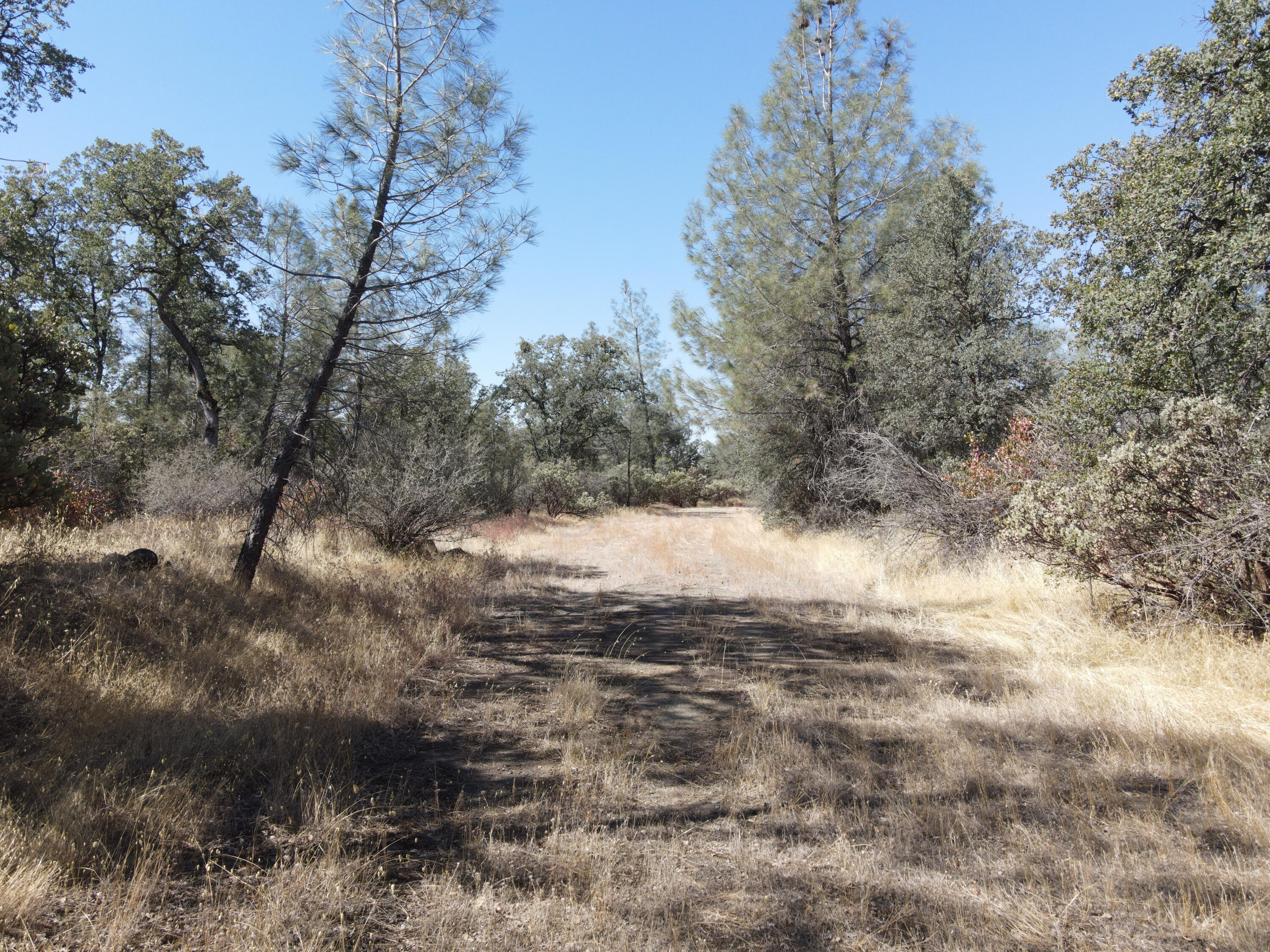 Nsa Dersch Road Shingletown, CA 96088 - Photo 10 of 56 DJI_0568_result