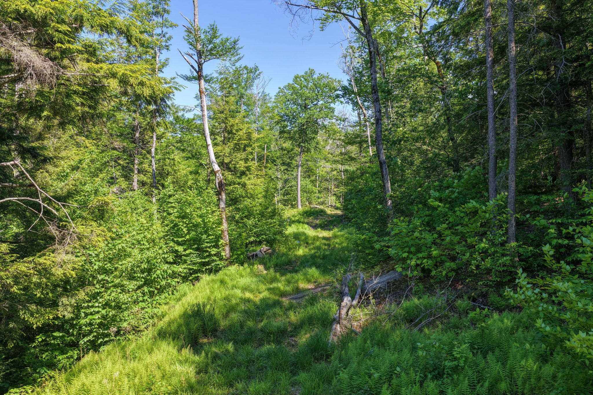 381 Whitaker Farm Road Marlboro, VT 05301 - Photo 9 of 20