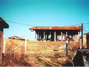 514 Pumpkin Valley Road Eidson, TN 37731 - Photo 3 of 6 Photo 3