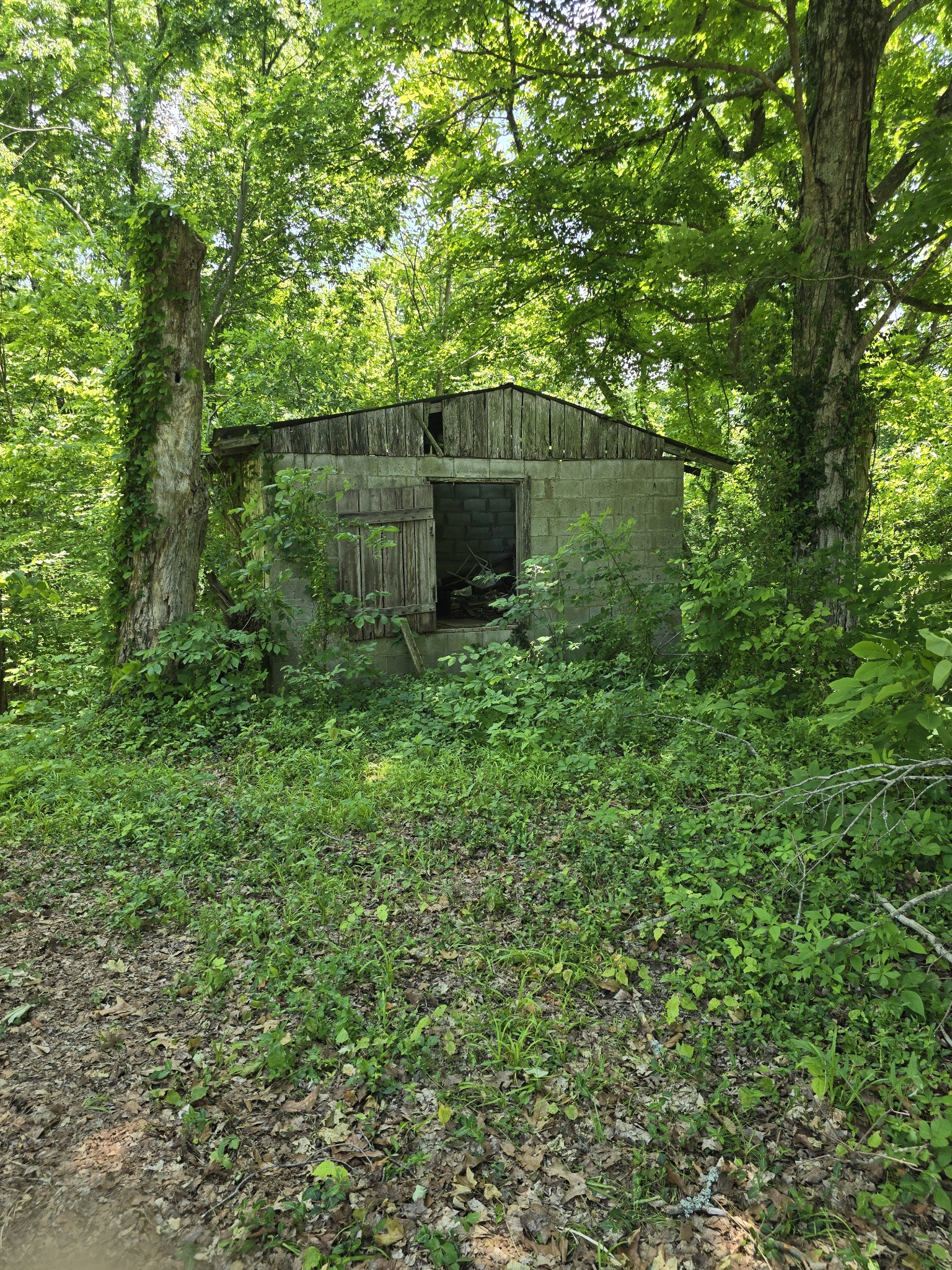 701 Stinson Road Bon Aqua, TN 37025 - Photo 40 of 57